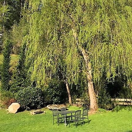 Appartamento Waldbauernhof Hornberg Esterno foto