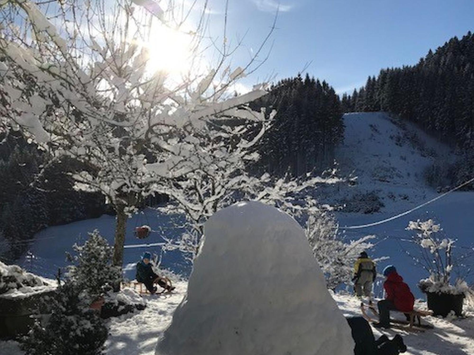 Appartamento Waldbauernhof Hornberg Esterno foto